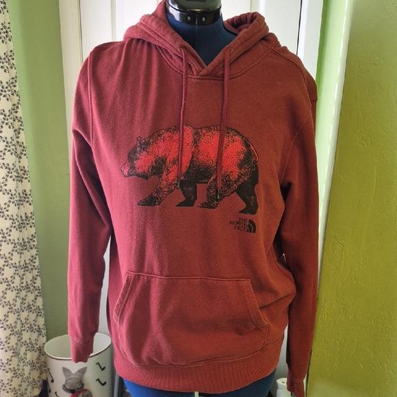The North Face Other - The Nortface TNF Hoodie Red Brick.SizeTag Missing. Pit To Pit:22.5"×26.5" Sz.M/L